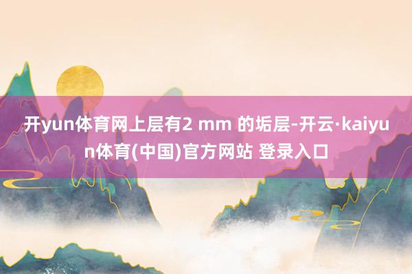 开yun体育网上层有2 mm 的垢层-开云·kaiyun体育(中国)官方网站 登录入口